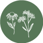 camomilla-e-achillea2