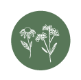 camomilla-e-achillea3