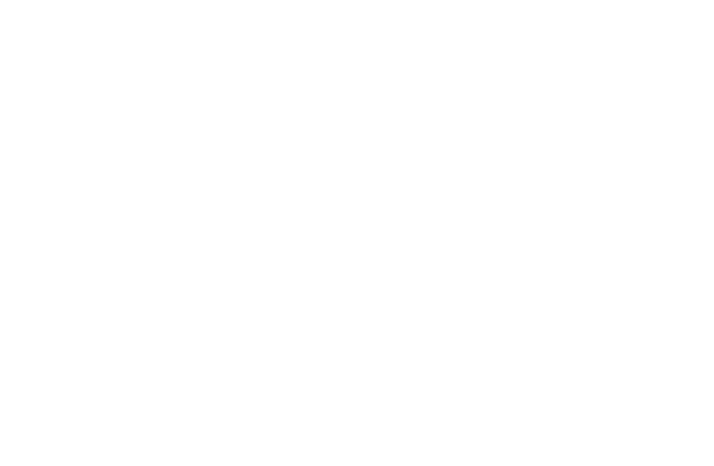iconalachiistatips