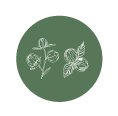 olionocciola3