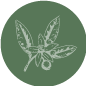 petitgrain2