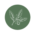 petitgrain3